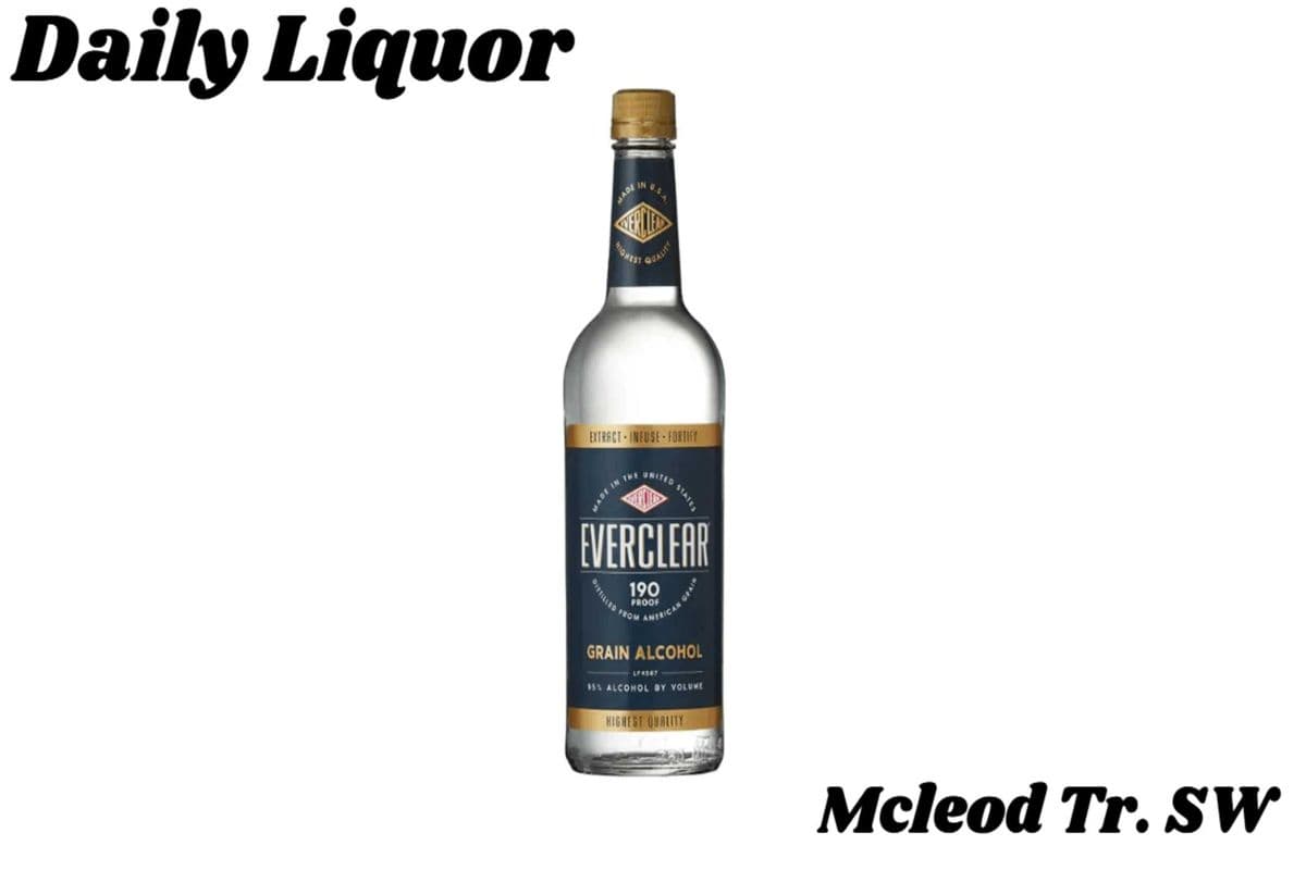 EVERCLEAR 190 PROOFGRAIN 750ML (1 x 750ML)