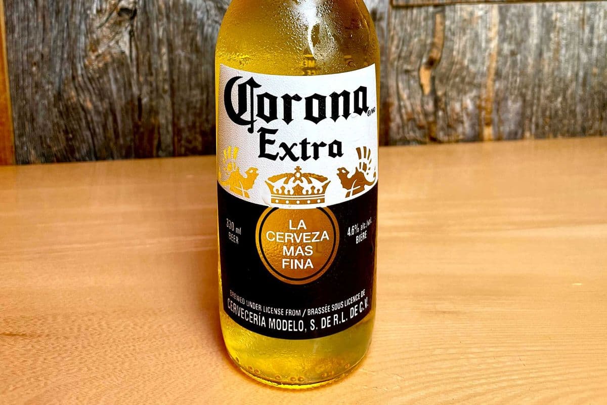 CORONA BEER BOTTLE