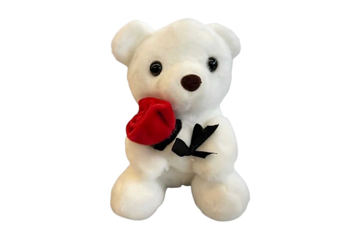 White Teddy Bear with Rose - X-Small