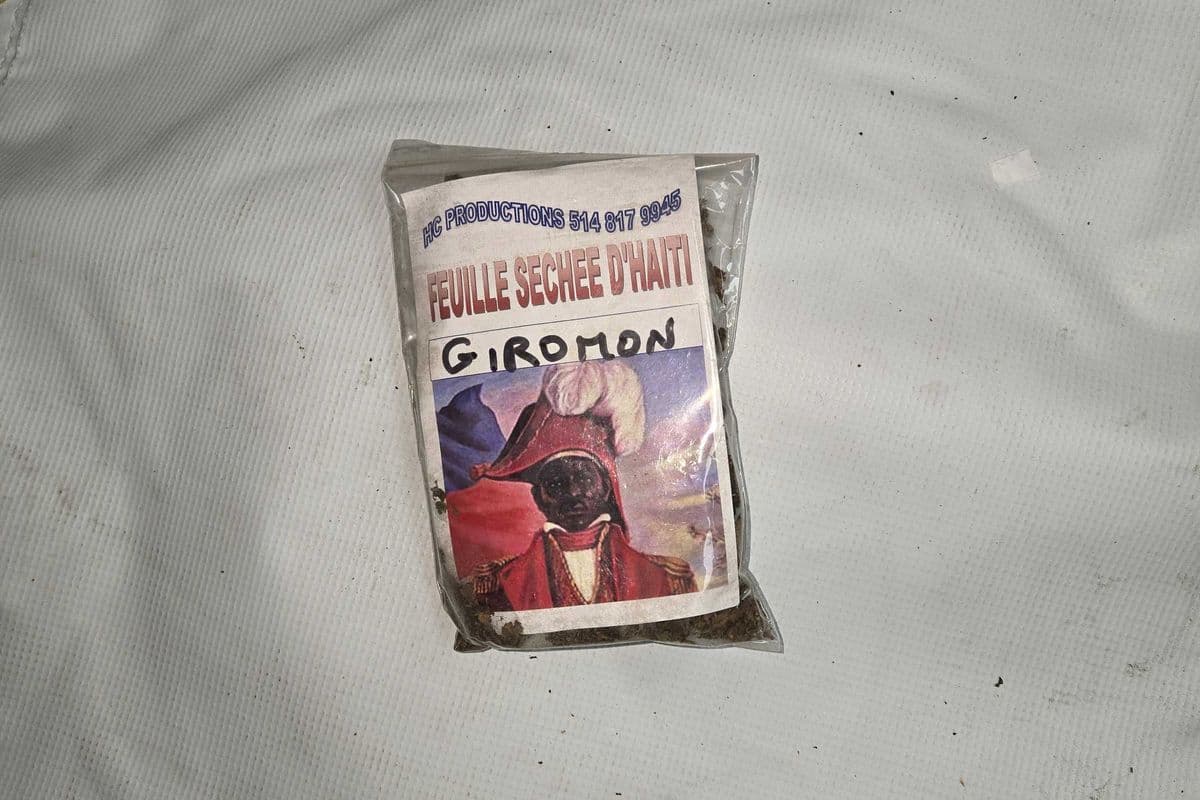 FEUILLE GIROMON
