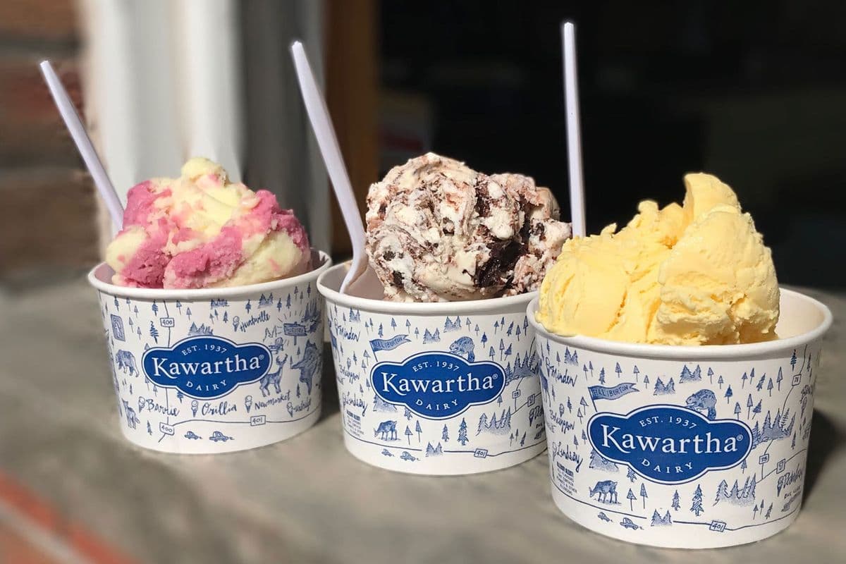 Kawartha Dairy Ice Cream in a Cup (2 Scoops)