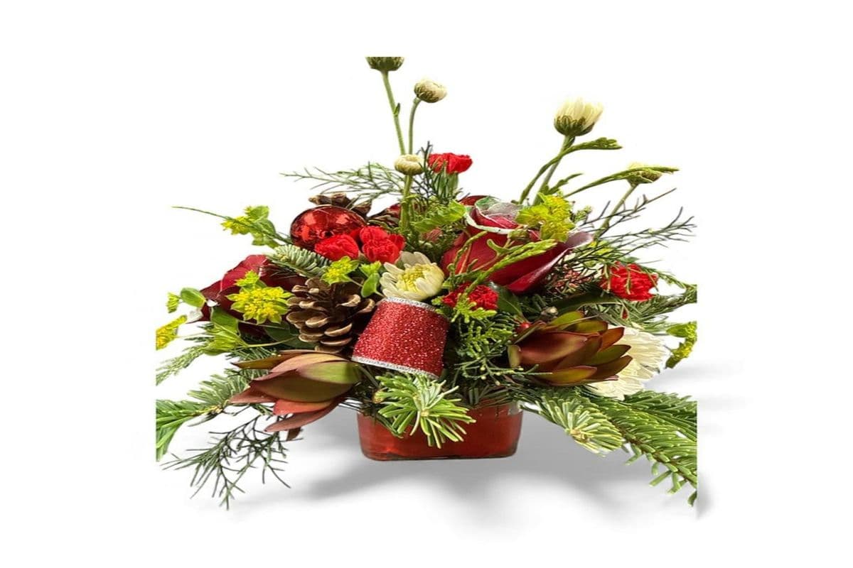 Christmas Bloom 23