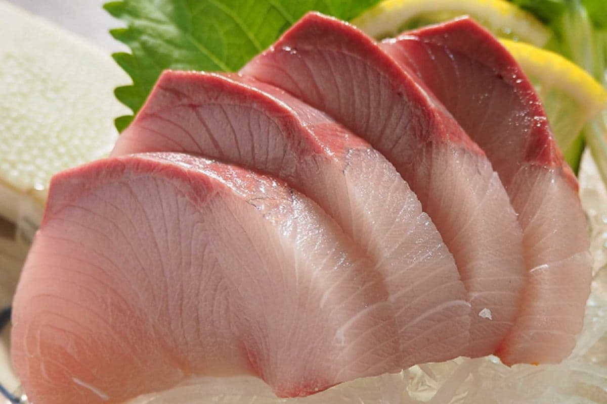 Hamachi Sashimi (4 pcs)