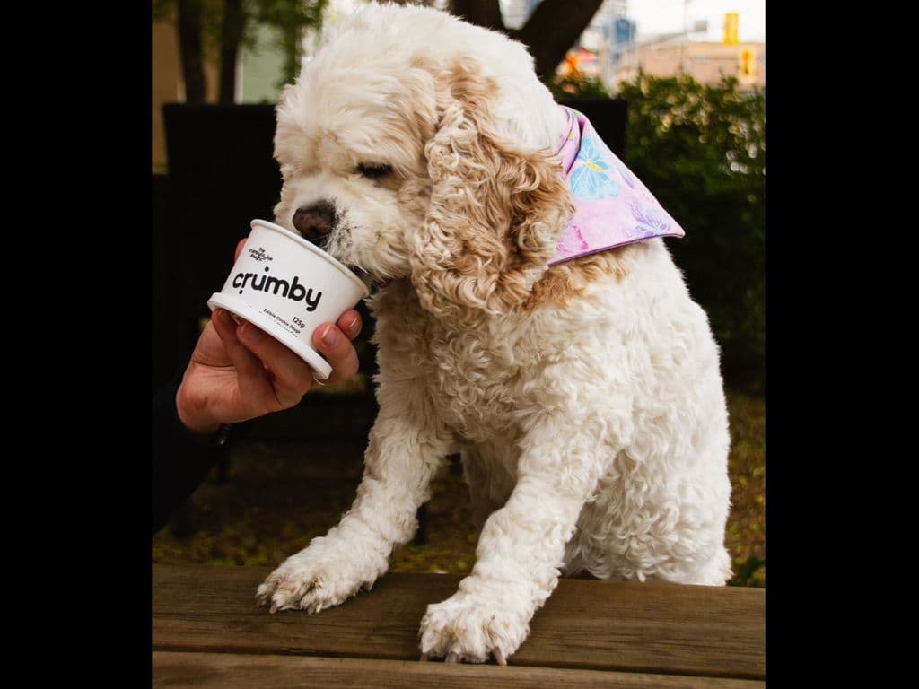 Doggie Dough