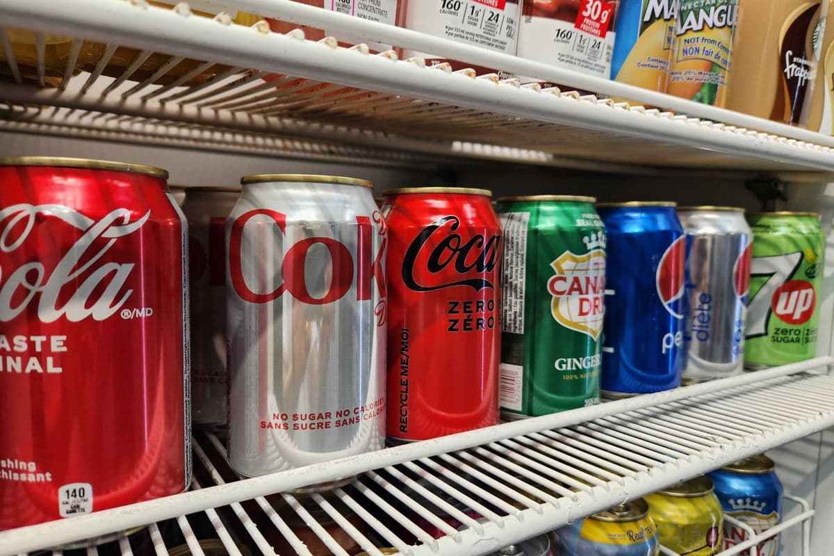 Boissons gazeuses en cannette (355 ml) / Canned Soft Drinks (355 ml)