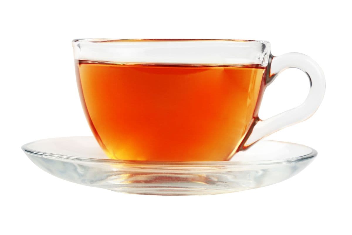 Organic Tea Hot/Iced