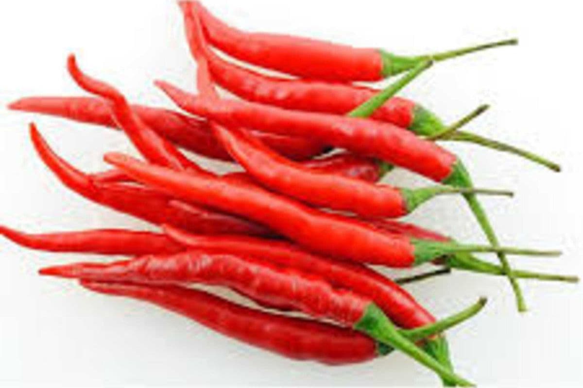 Chilli Pepper / 小米辣