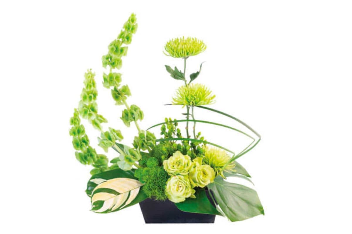 Lovely Lime Floral Arrangement