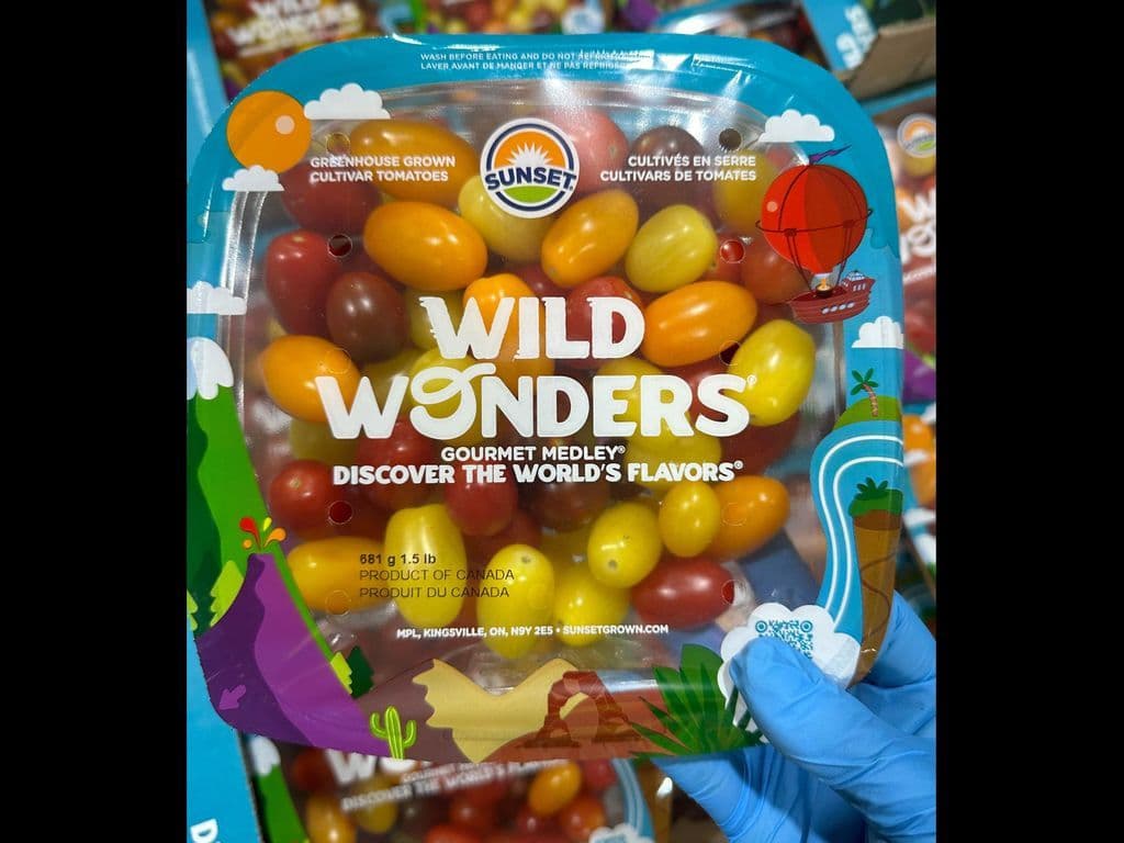 WILD WONDER MIXED COLOR TOMATOES 1.5LB