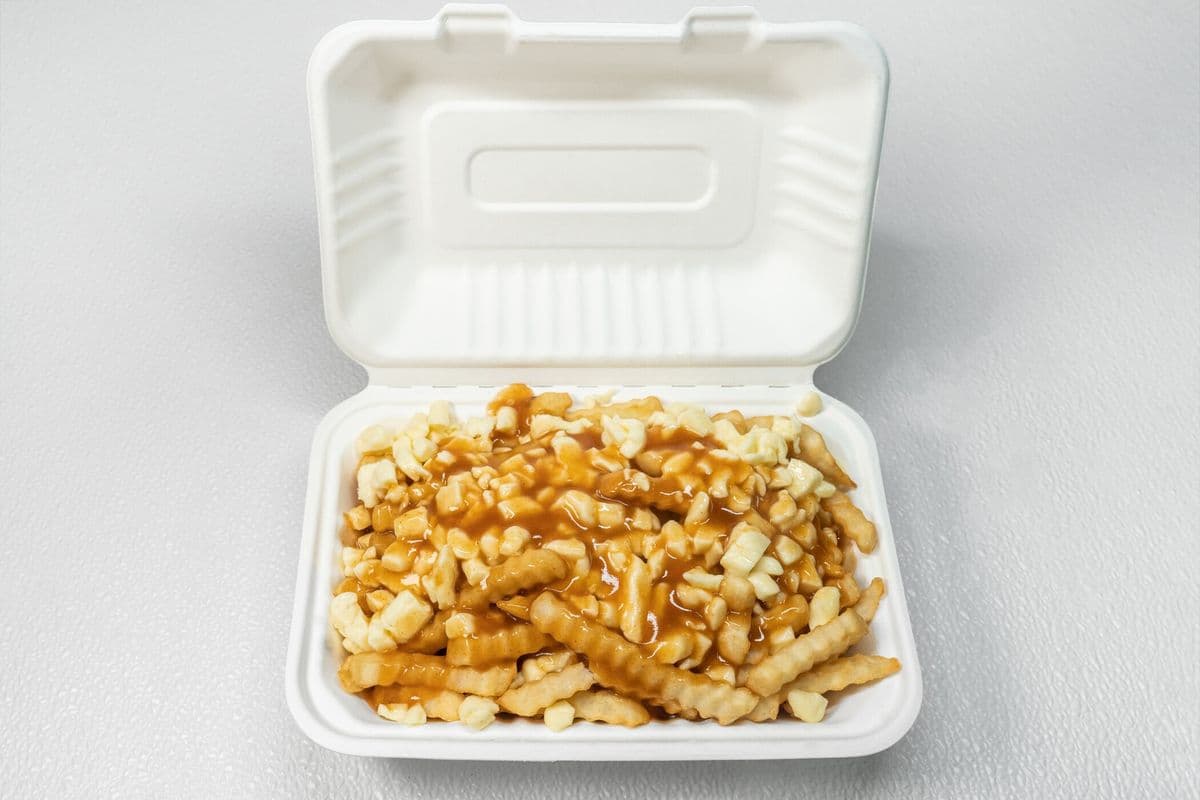 Large Poutine