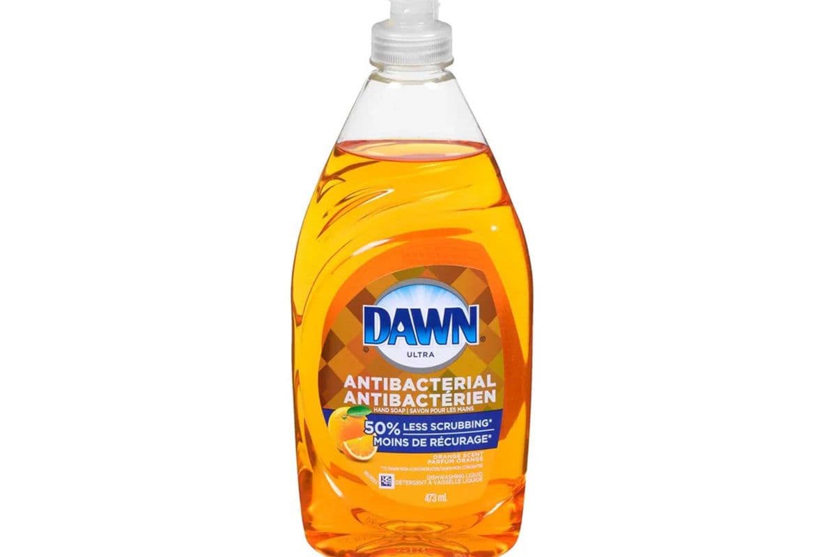 Dawn Orange Scent