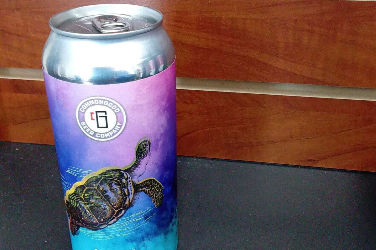 Hazy IPA (1 x 473)