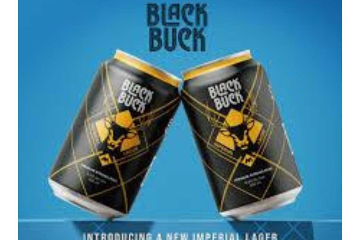 METAS BLACK BUCK STRONG 8*355ML (1 x 355ML)