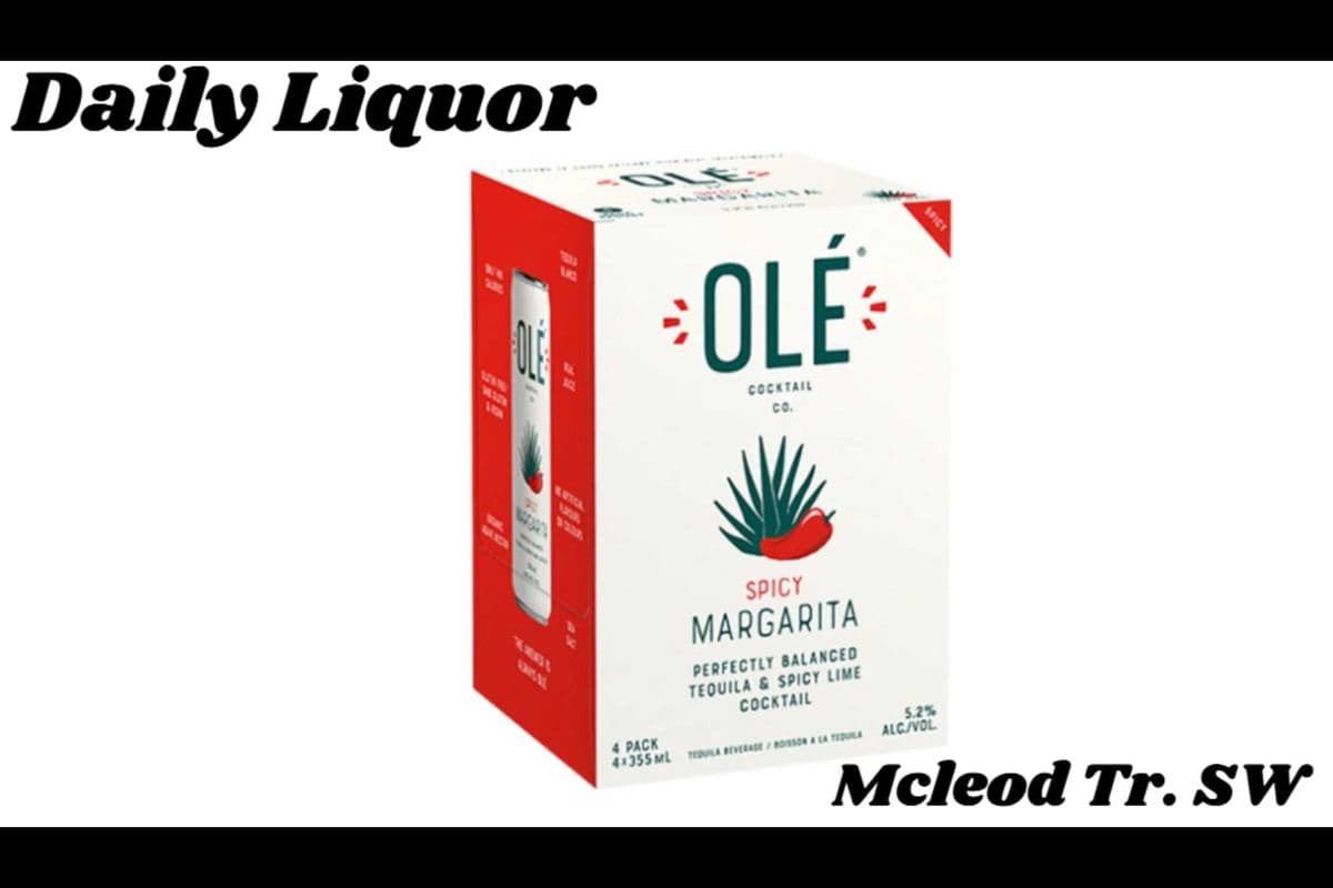OLE SPICY MARGARITA 4 CANS (1 x 4 CANS)