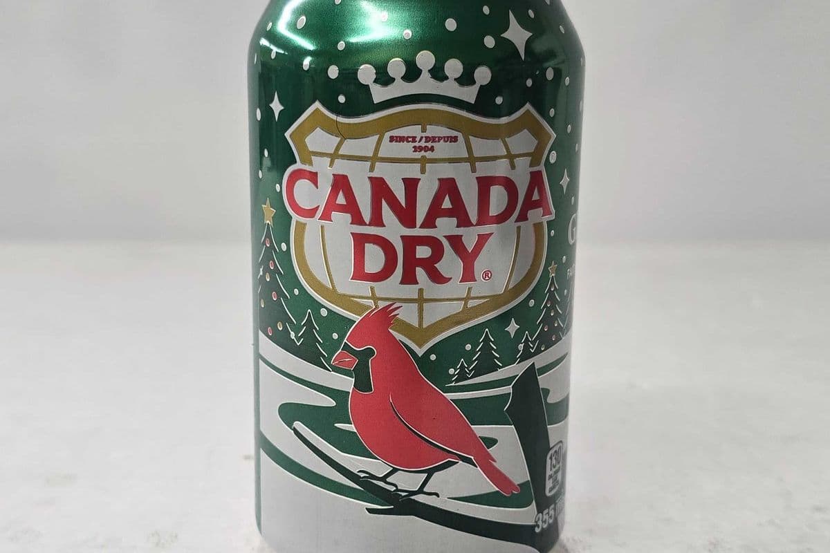 Canada Dry Ginger Ale can (355ml)