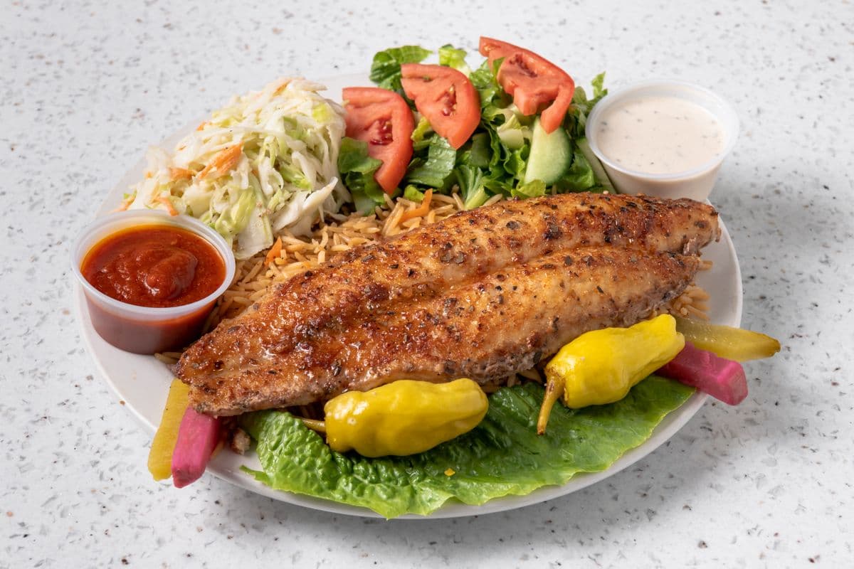 Sea Bass Fish Plate