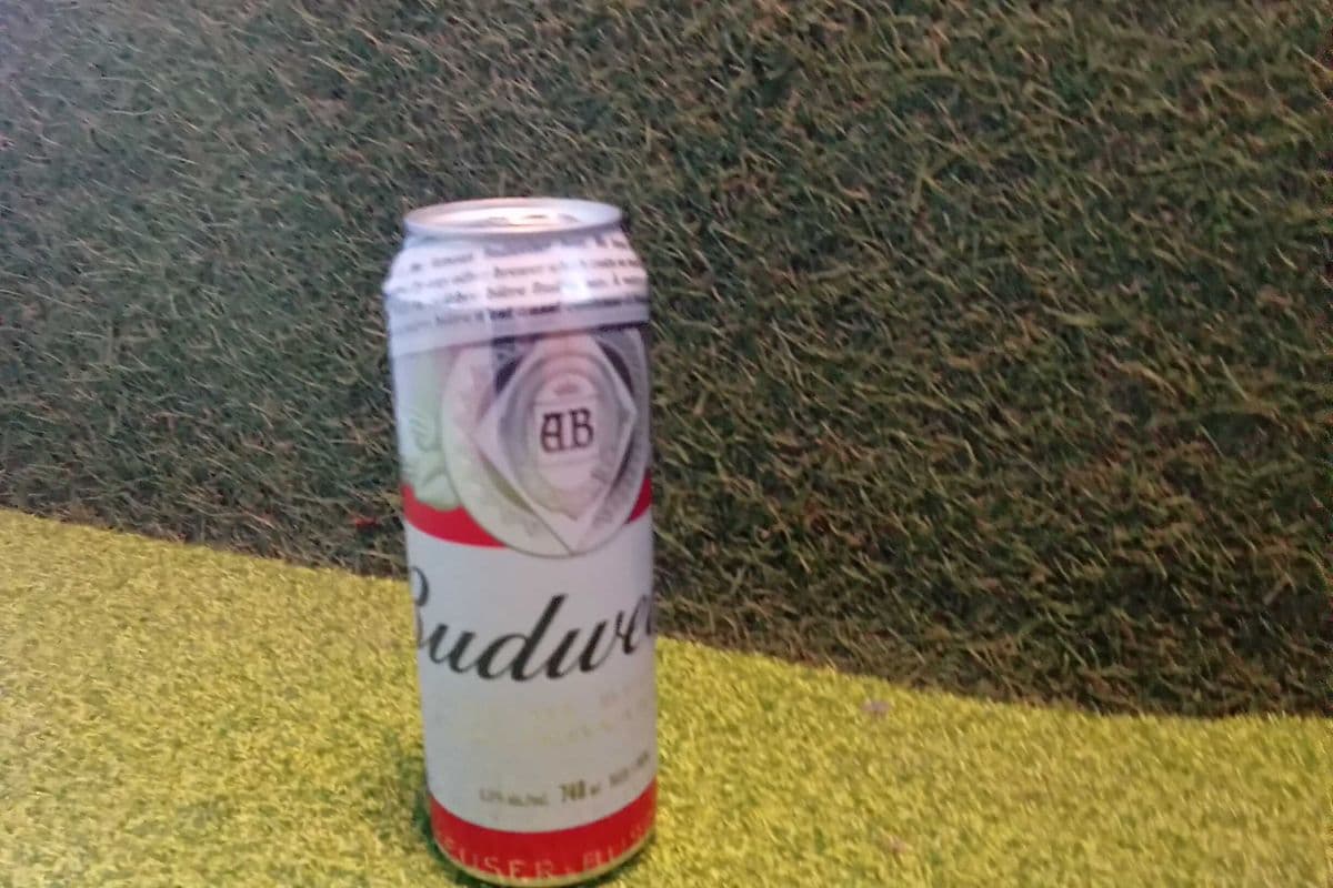 Budweiser (1 x 740 ml)