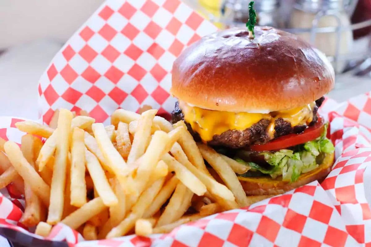 Cheese Burger and Fries
