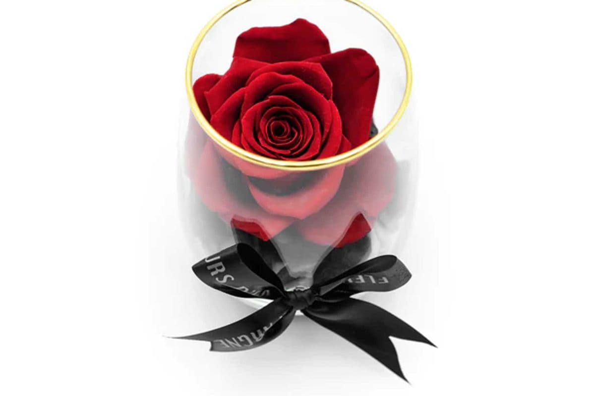 Rose in Glass Vase with Stand