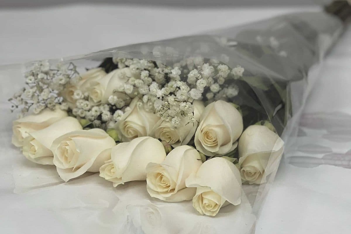 A Dozen White Roses