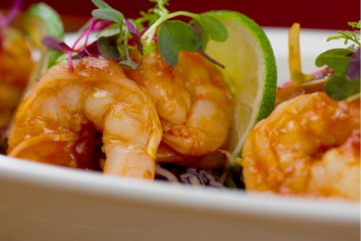 Rock Star Shrimp