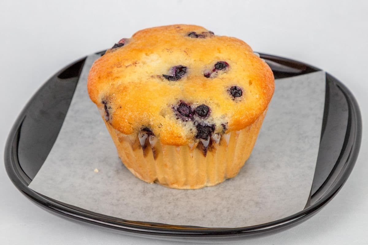 Blueberry Muffin