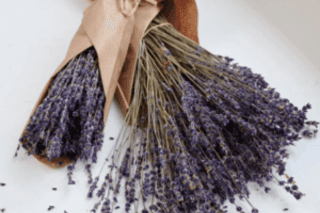 Dried Lavender Bundle