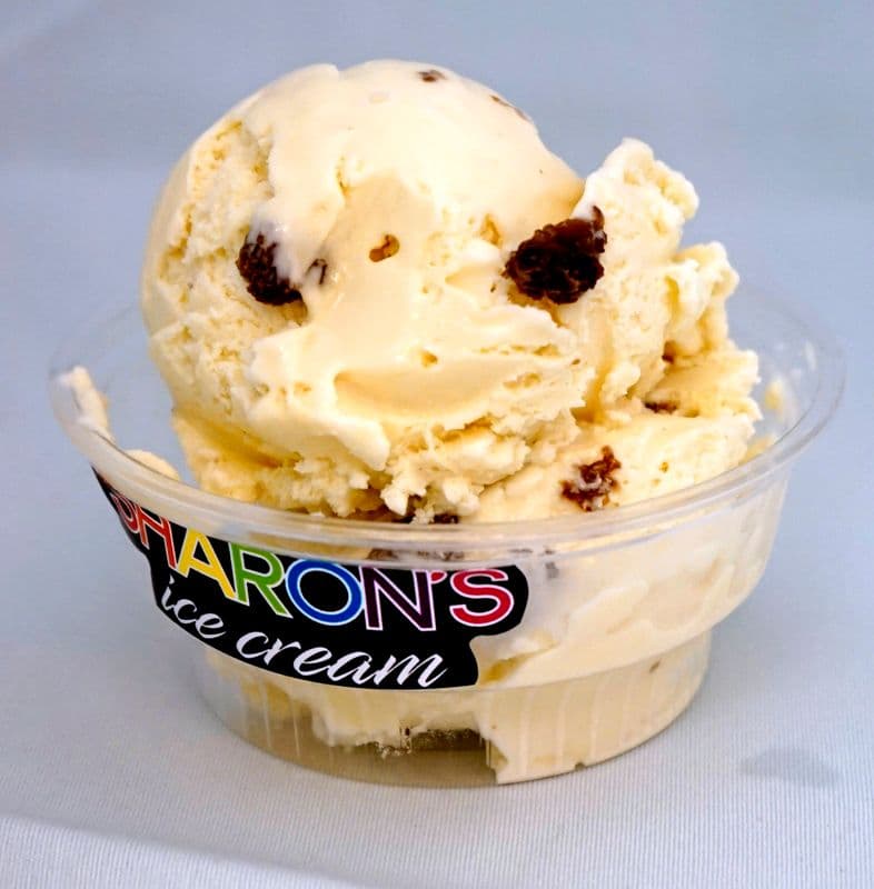 Rum Raisin Ice Cream