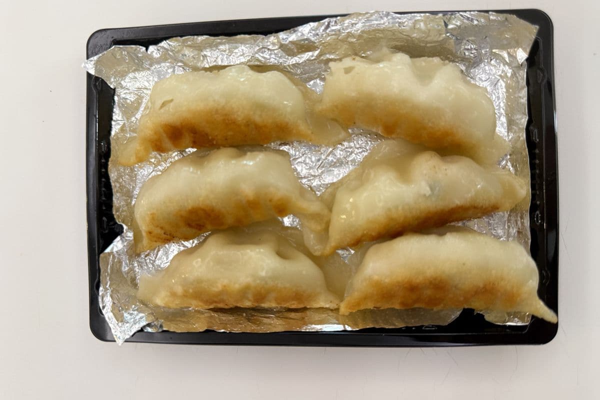 Pan-fried Dumplings