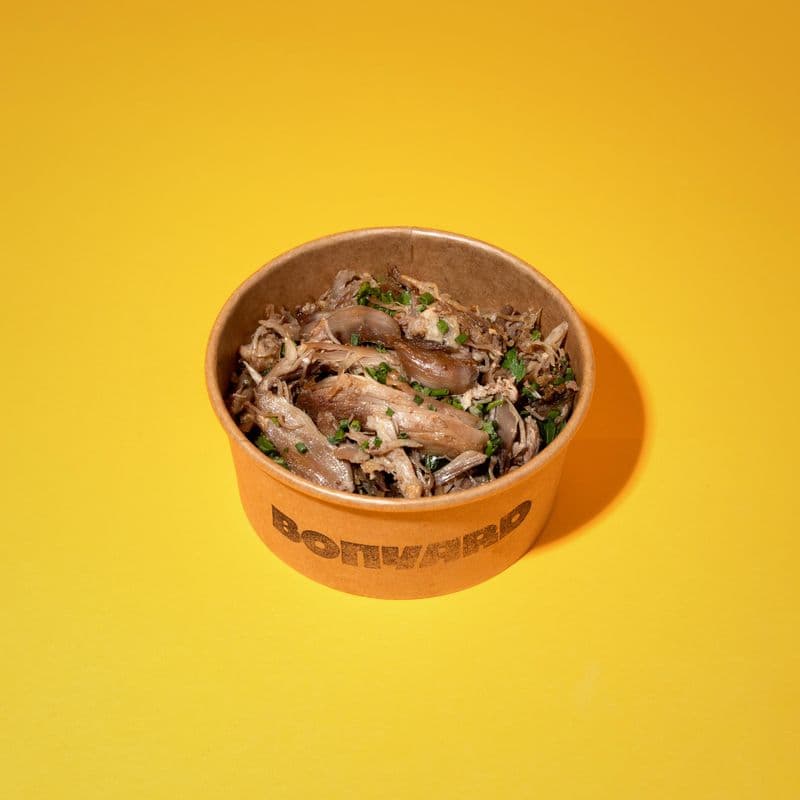 Extra Canard / Duck