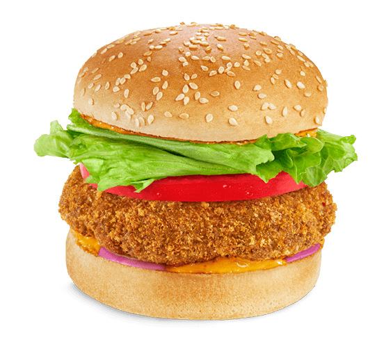 Masala Veggie Burger Combo