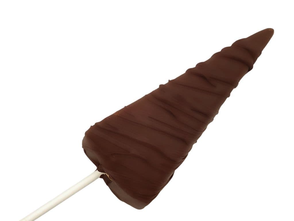 Frozen Chocolate Dipped Cheesecake