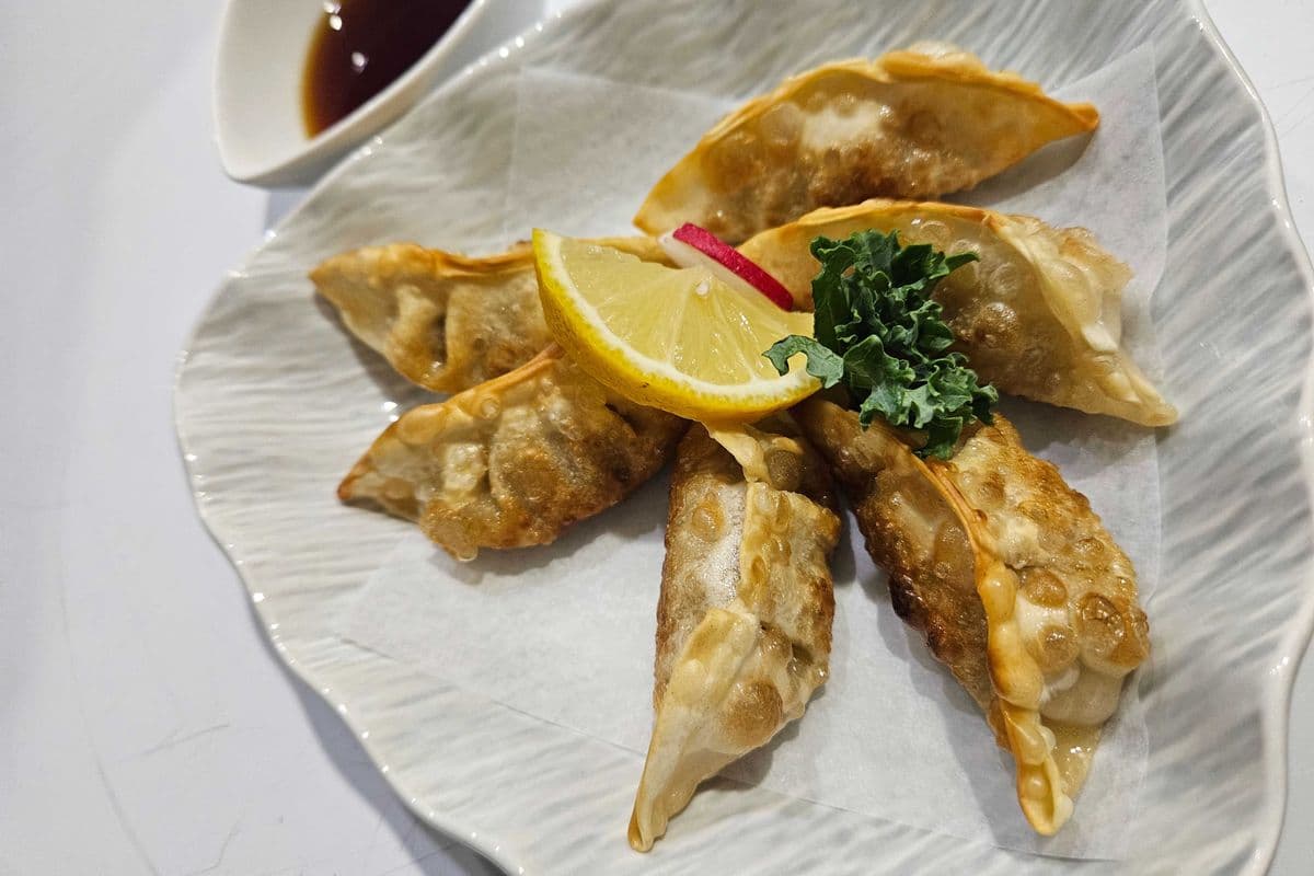 Gyoza Beef
