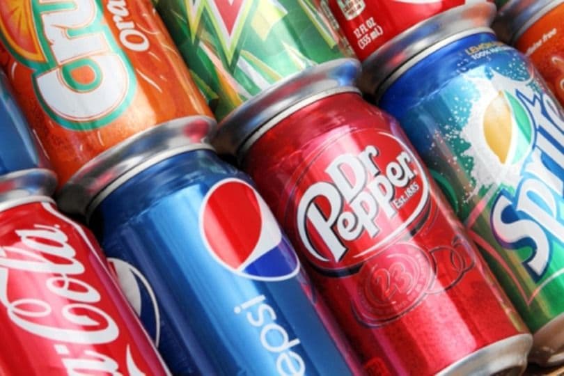 1. Soft Drink
