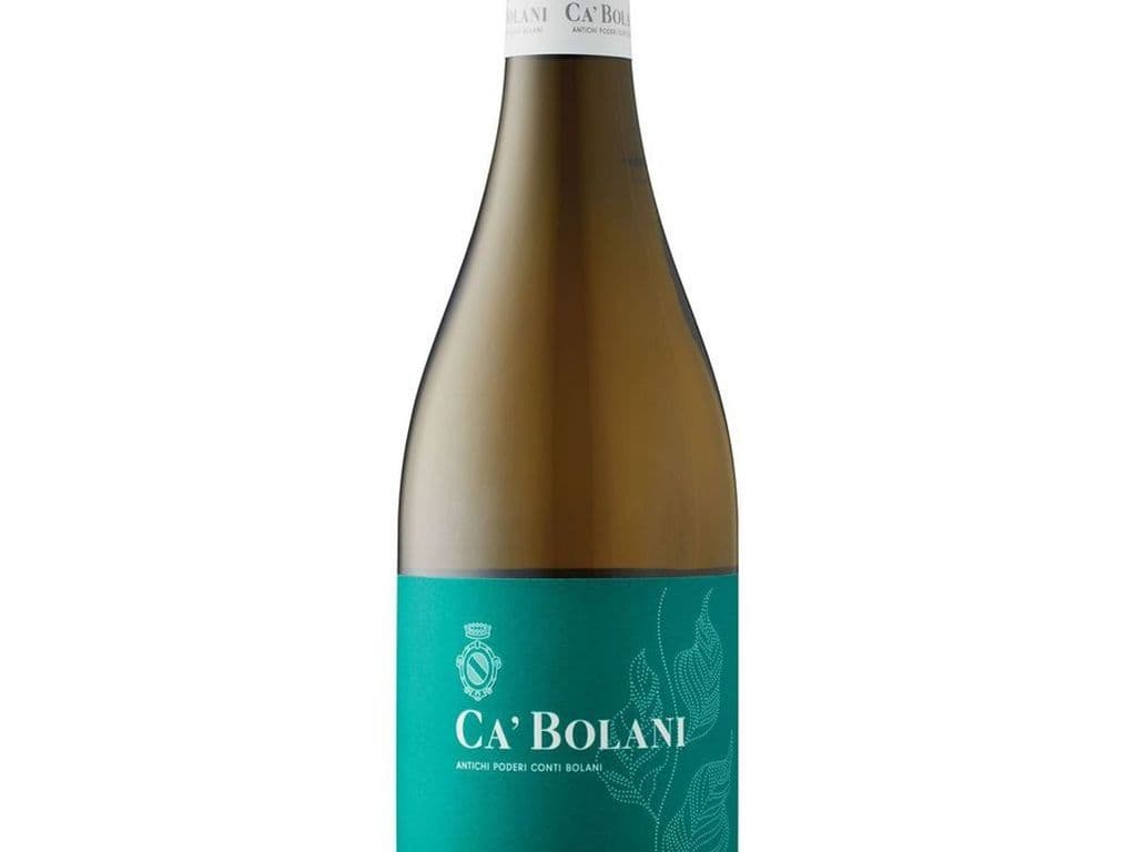 Cabolani Pinot Grigio 750ml bouteille de vin (13% ABV) (1 x 750 ml)
