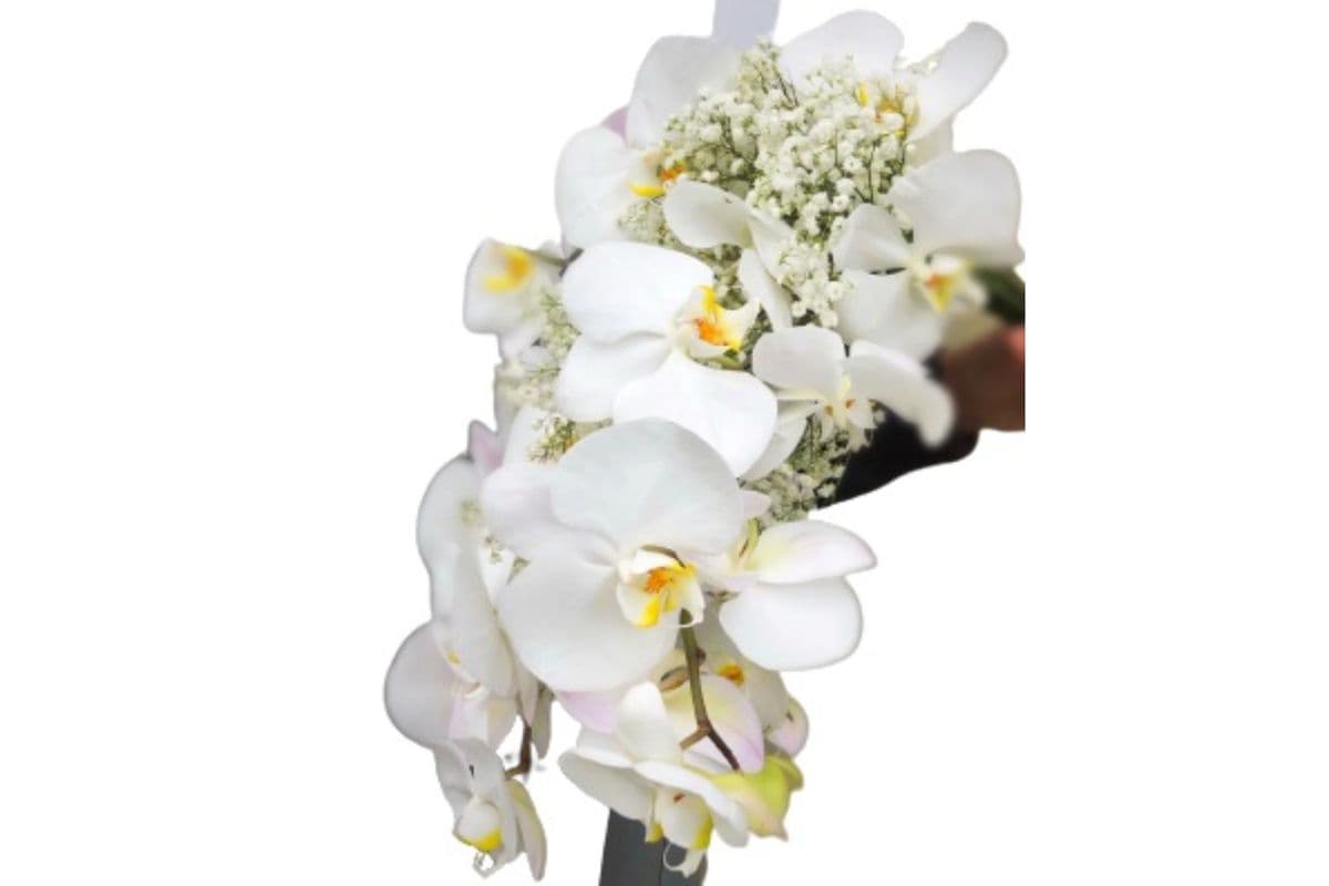 Orchid Bridal Bouquet