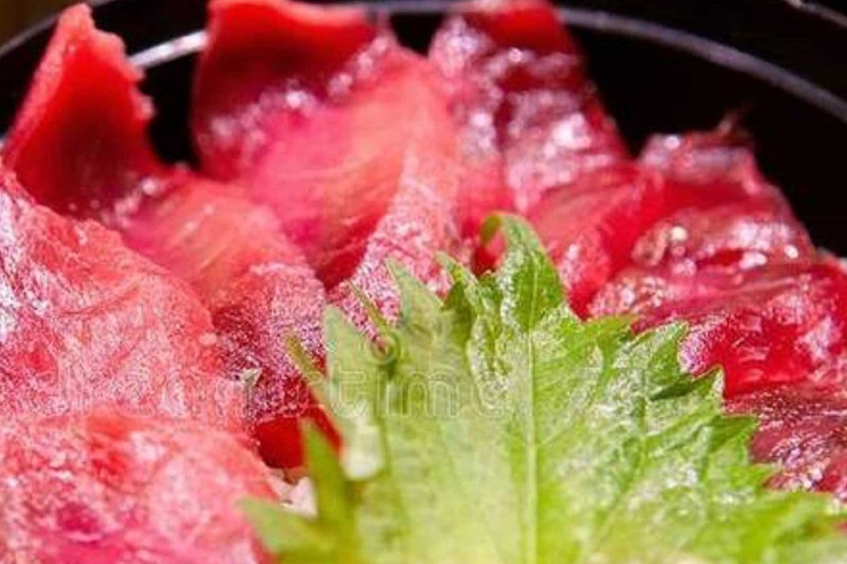 Tuna Sashimi Don