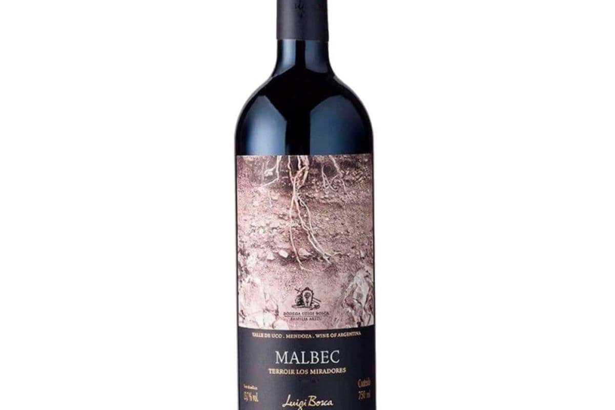 Luigi Malbec terroir los miradores (1 x 750)