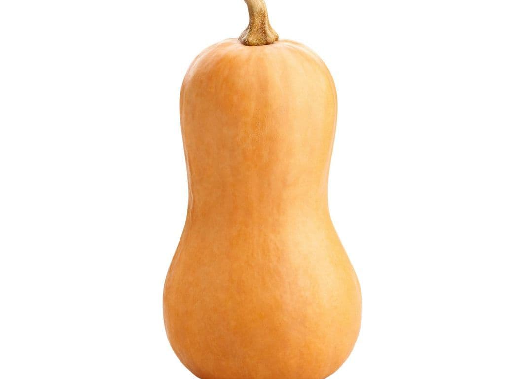 Squash Butternut (Each)