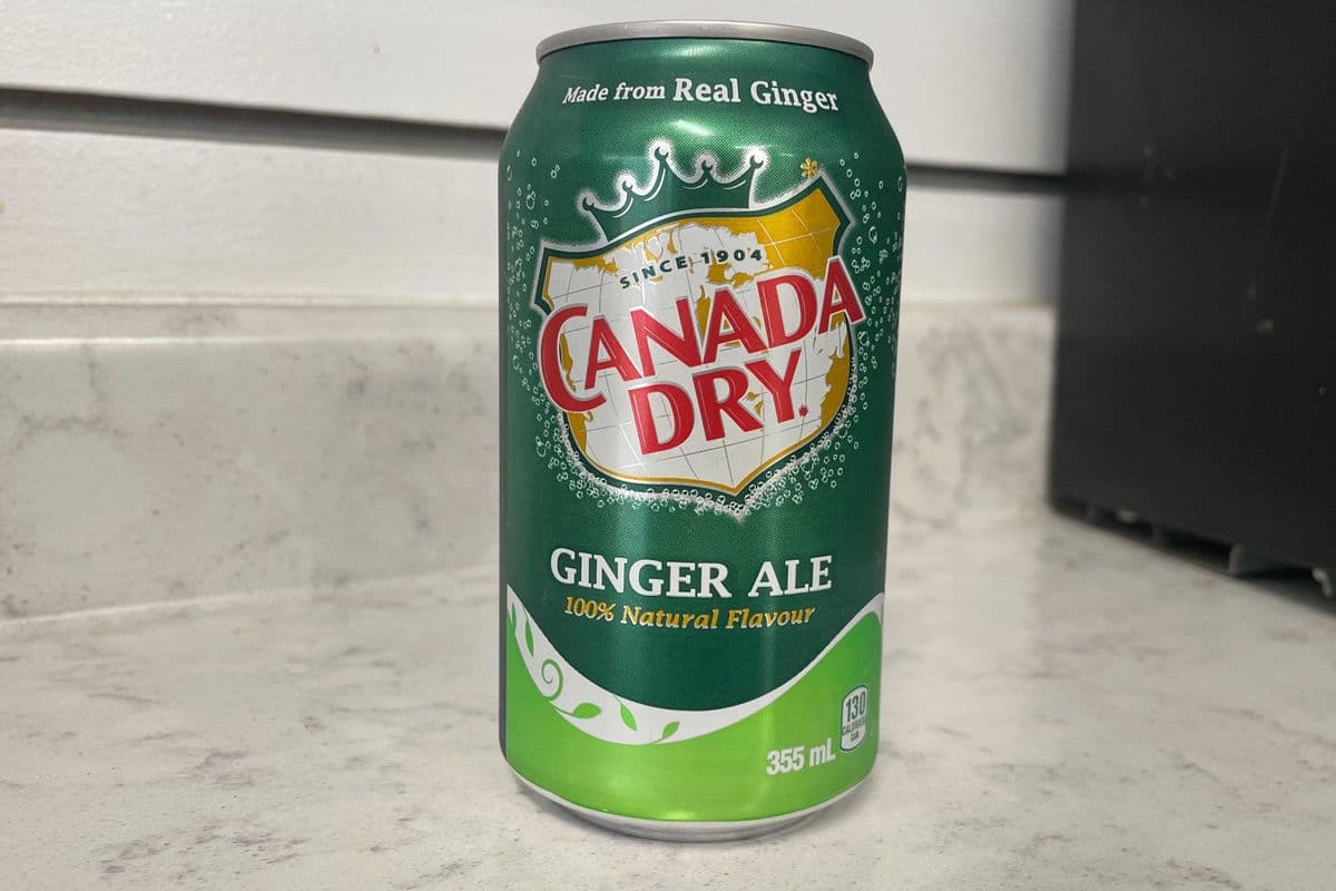 Ginger Ale (355ml Can)