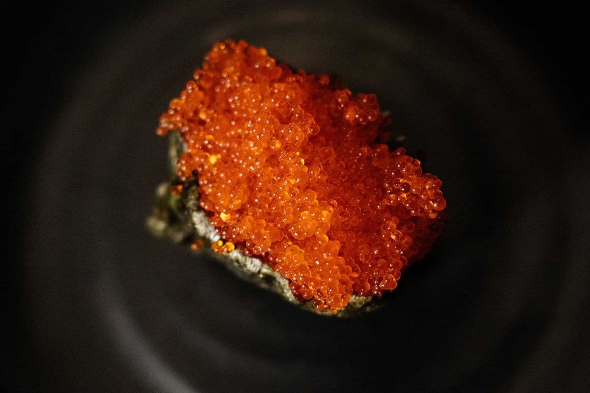 Tobiko Sushi