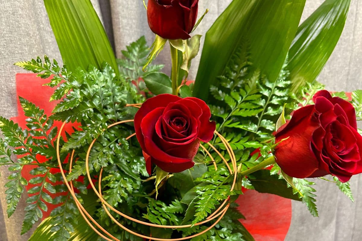 Sweet Kiss - Three Red Roses