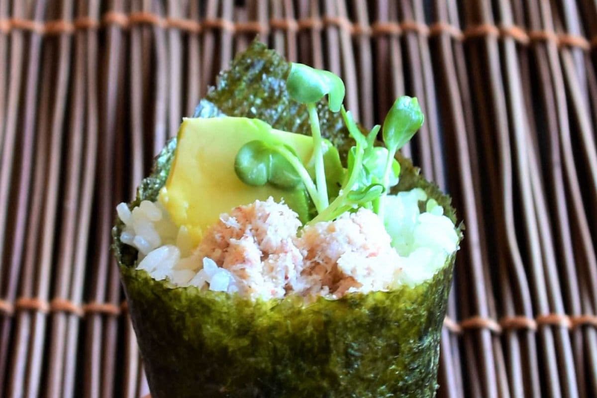 California Cone