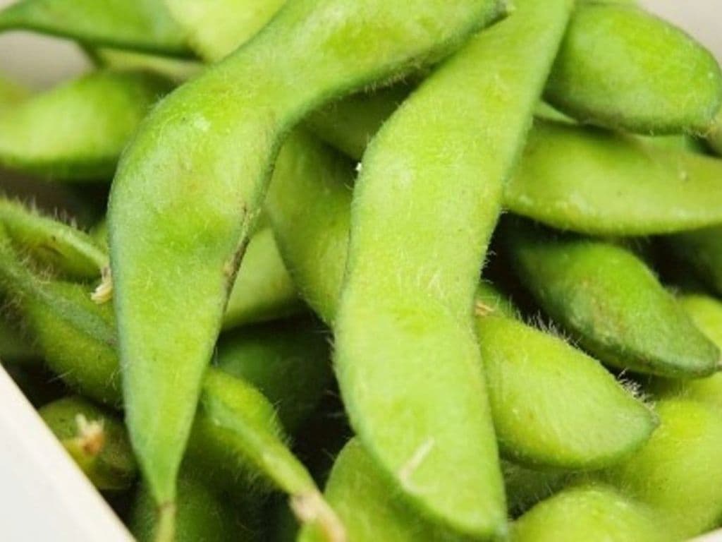 Edamame