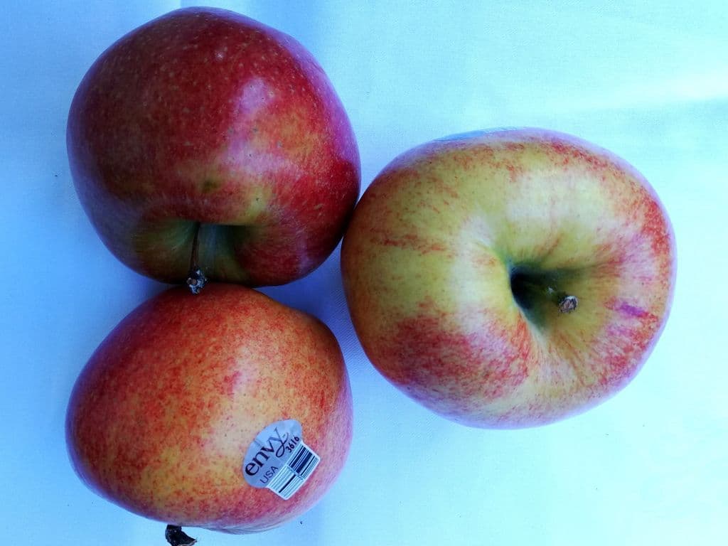 Apple Envy (3 pcs)