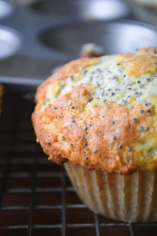 Lemon Poppy seed Muffin
