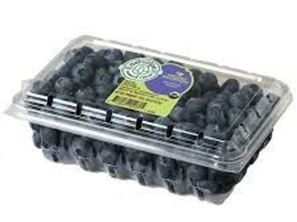 Organic Blueberries 1pt