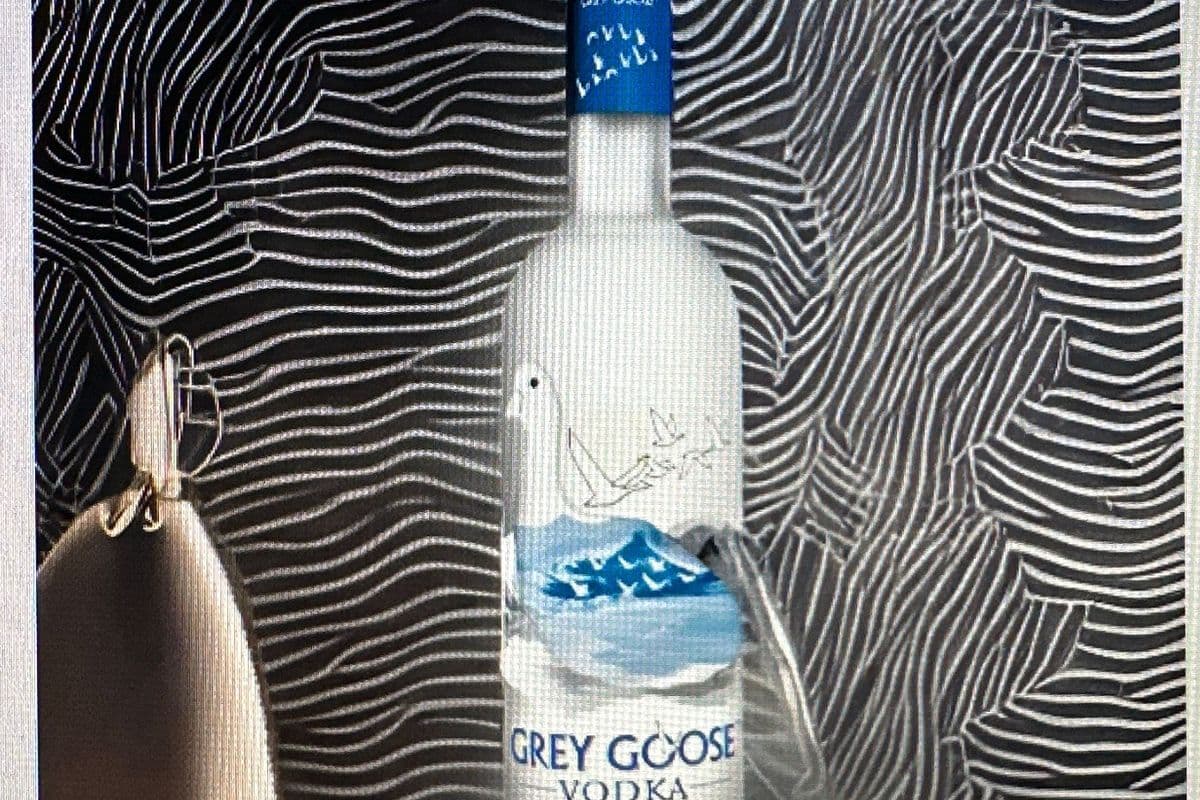 Grey Goose (1 x 200 ml)