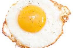 Fried Egg