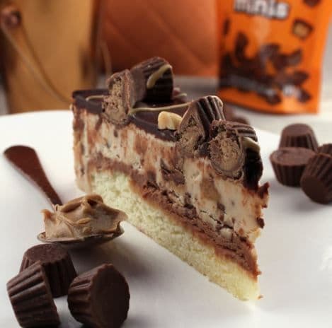 Bayside Reese Peanut Butter Blondie